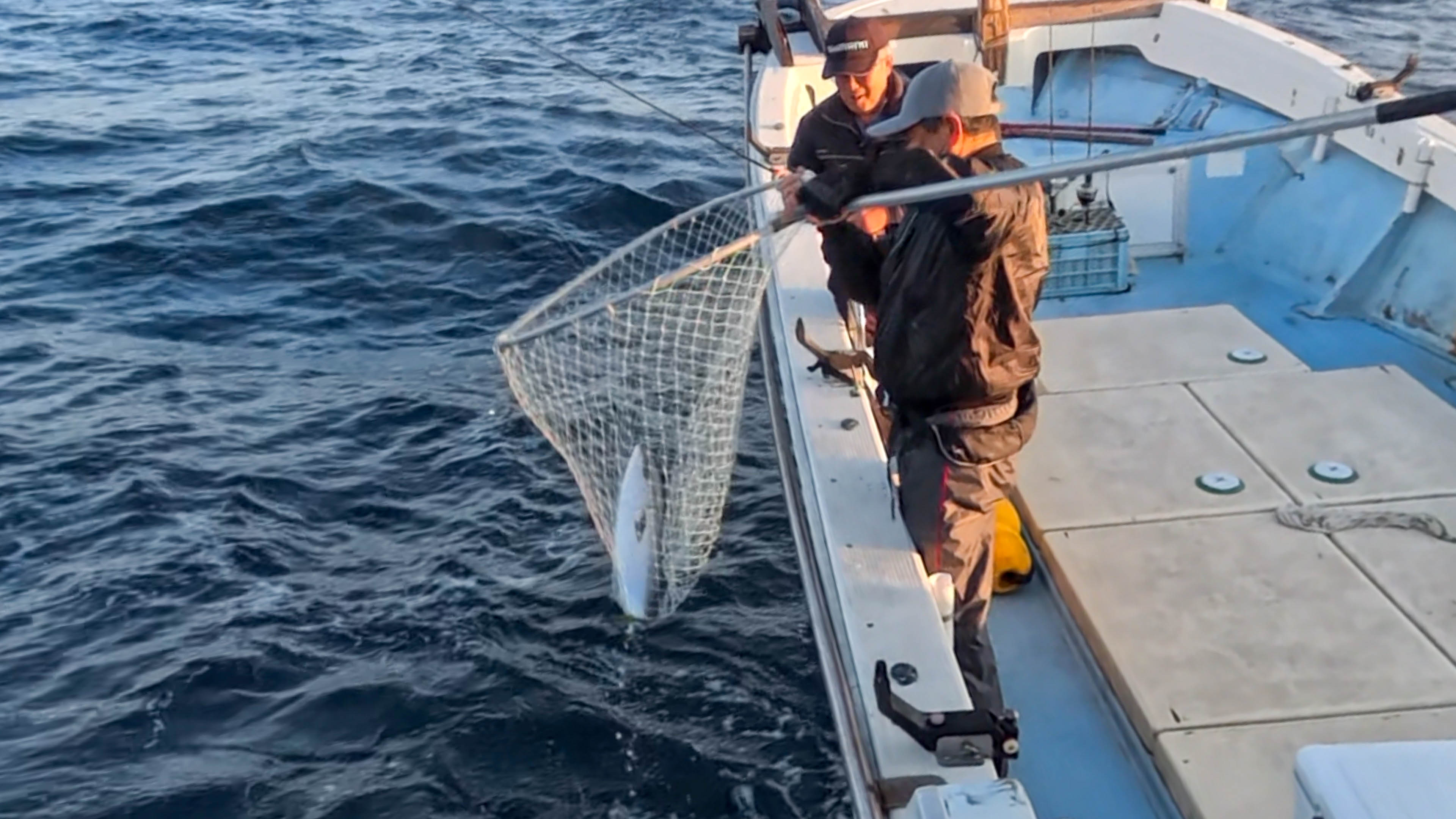 おめでとうございます